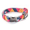 Everking Classic Orange Dog Collar