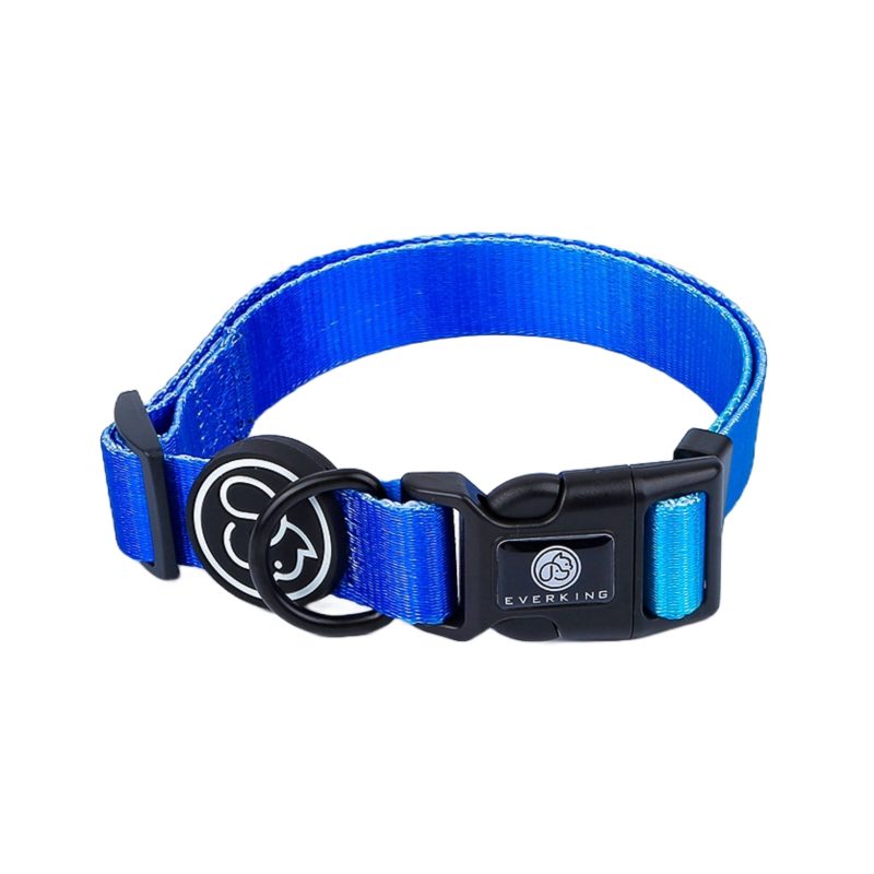 Everking Neon Blue Dog Collar