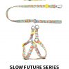 Everking Candy Dog Collar - Image 4